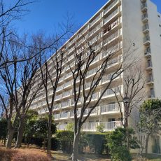 妙典駅行徳ハイム２号棟